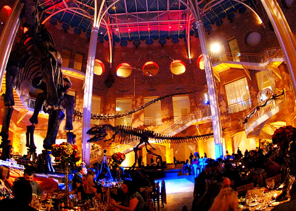 Autumn Elegance Atlanta Ga Wm Eventswm Events Fernbank Museum Atrium Room View Wm Events