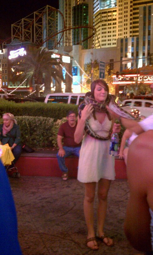 Snakes on the Strip WM Events