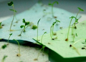Seed-Paper-Growing-WM-Events