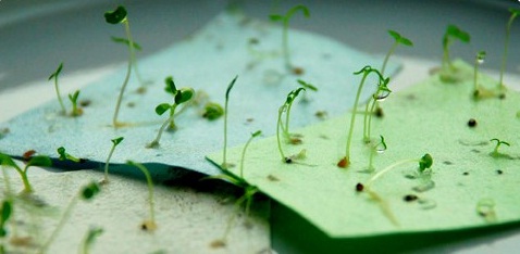 Seed-Paper-Growing-WM-Events