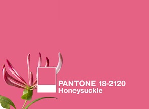 Pantone Color of the Year Honeysuckle Hue Inspiration WM Events