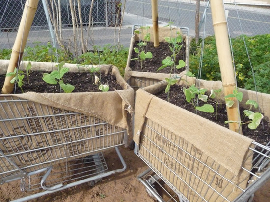 Shopping Cart Planters WM Events