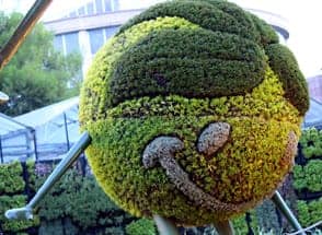 Garden Gooseberry Modular Image Wm Events Atlanta Botanical Gardens