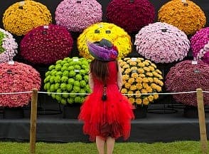 Royal Horticulture Society Chelsea Flower Show Garden WM Events Inspiration Atlanta Wedding Designer Planner Fashion