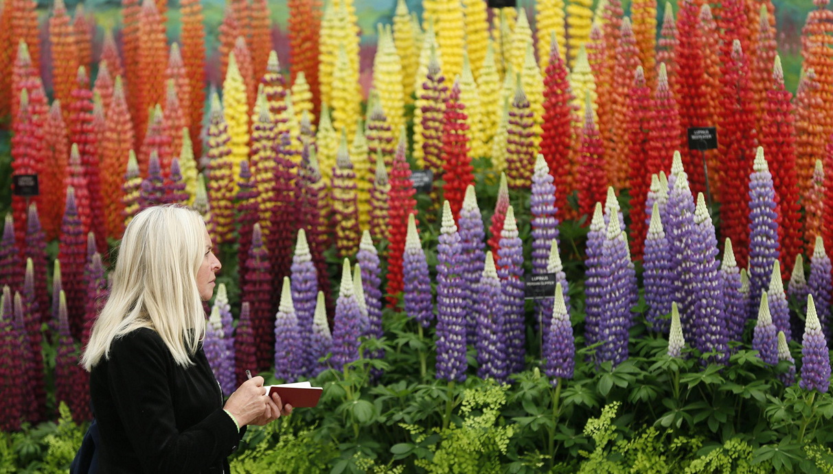 royal-horticulture-society-chelsea-flower-show-garden-wm-events