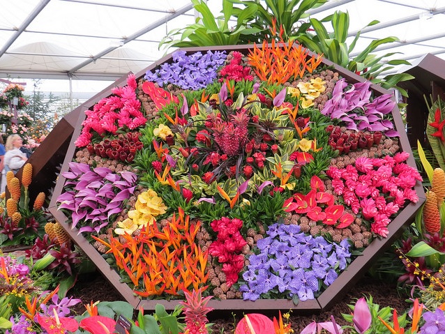 Royal Horticulture Society Chelsea Flower Show Garden WM Events Inspiration Atlanta Wedding Designer Planner Tropical