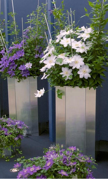 Royal Horticulture Society Chelsea Flower Show Garden WM Events Inspiration Patio Planters