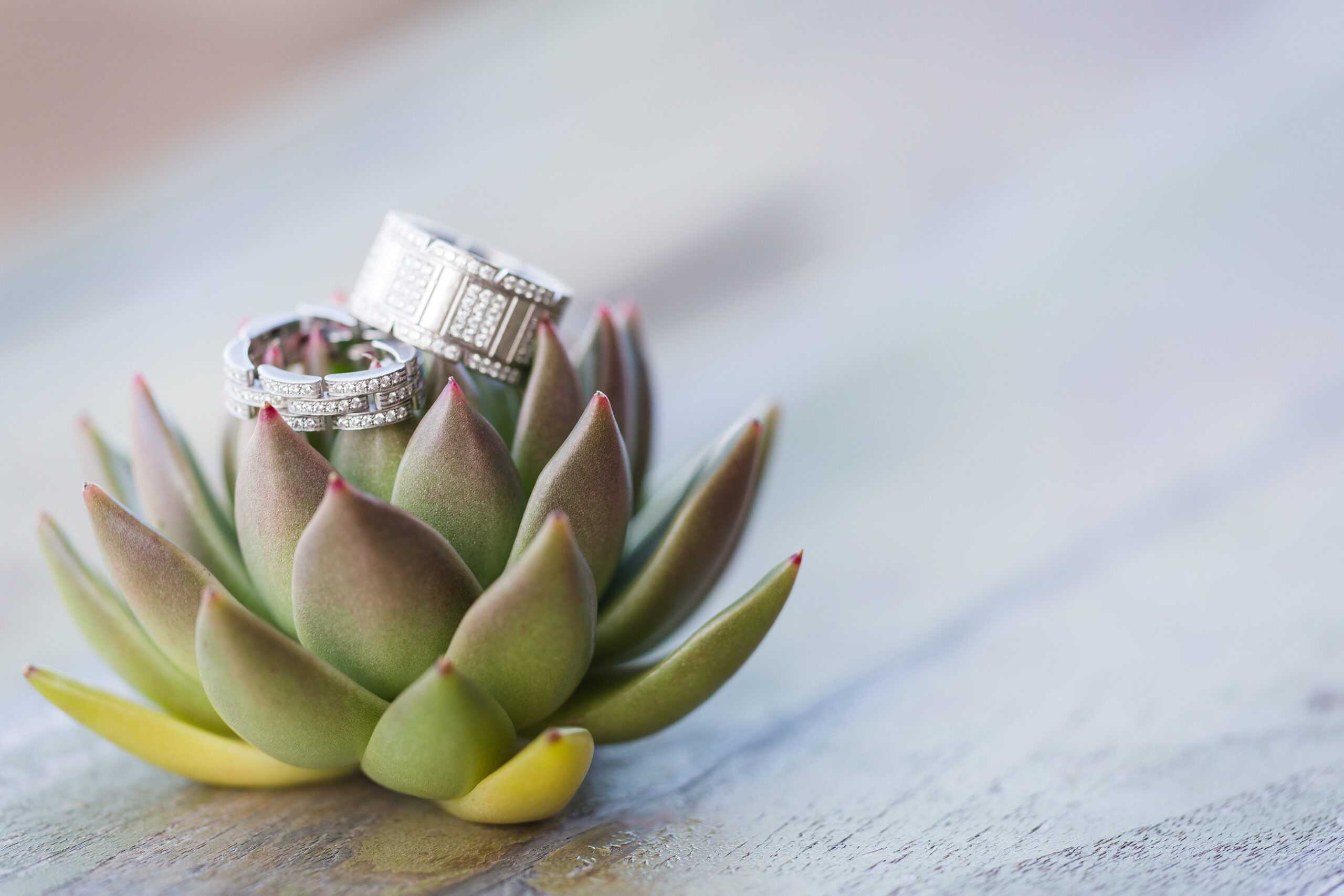 WM Events Weddings Event Planners Event Producers Event Production Design Designers Necker Island British Virgin Islands Tropical Custom Monogrammed Bobby Yang Destination Wedding Anniversary Lindsay Vann Photography Hot Pink Navy Blue Specialty Linens Modular Image
