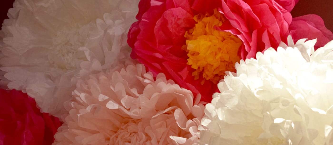 Showroom Styling Spring 2017