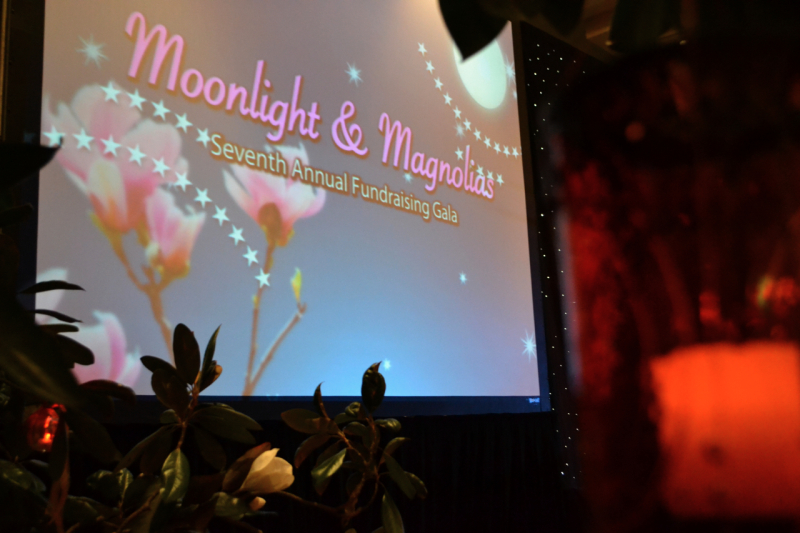 Moonlight and Magnolia Screen WM Events