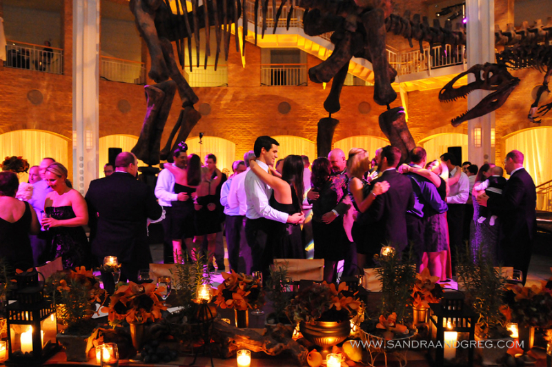 dance-floor-with-dinosaurs-wm-events