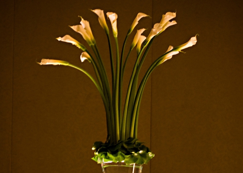Tall Detail Flower Calla Lilly WM Events