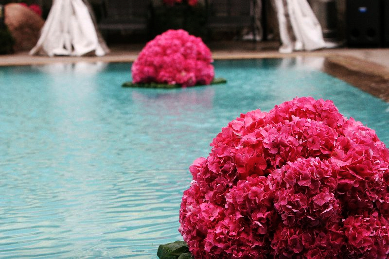 pink-hydrangea-accented-the-pool wm events