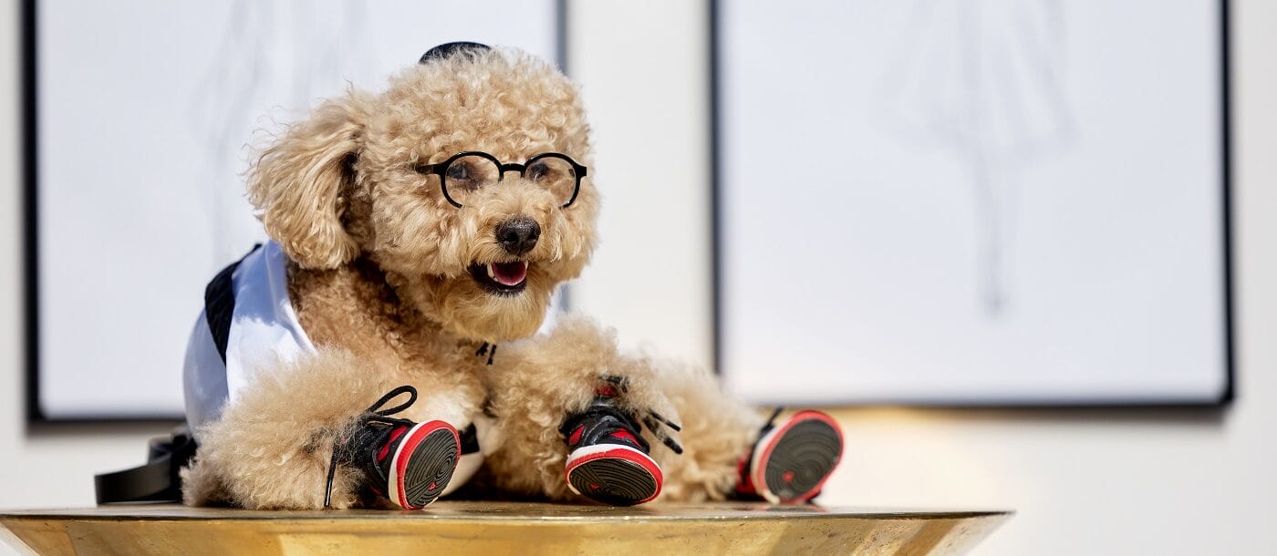 Mutt Gala Atlanta, GA WM Events Social Event Planning and Designing (2)