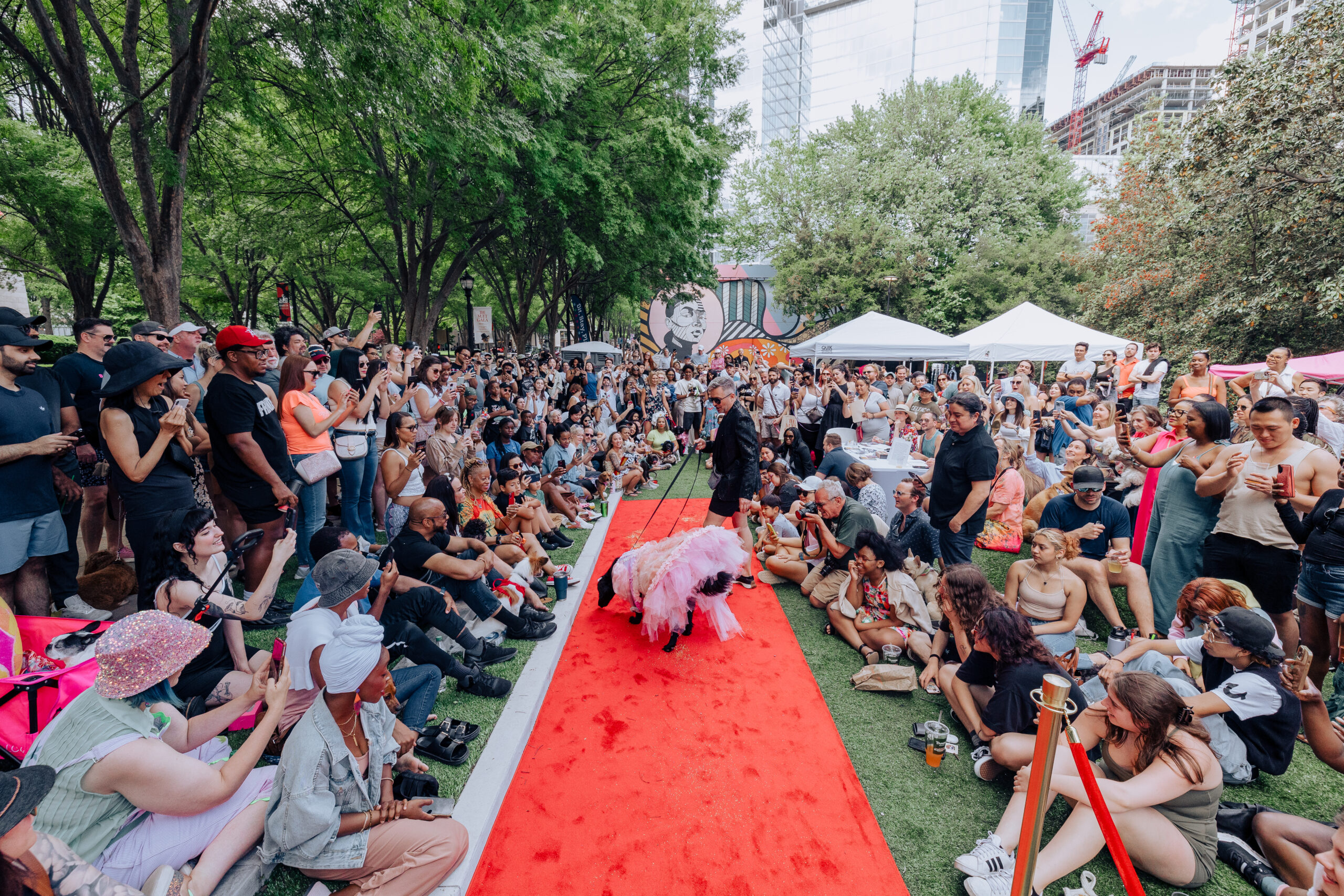 modular image, wm events, blog, event designer, event design, event planner, event planning, event consultant, event consulting, corporate events, corporate, Mutt gala, gala, dog show 