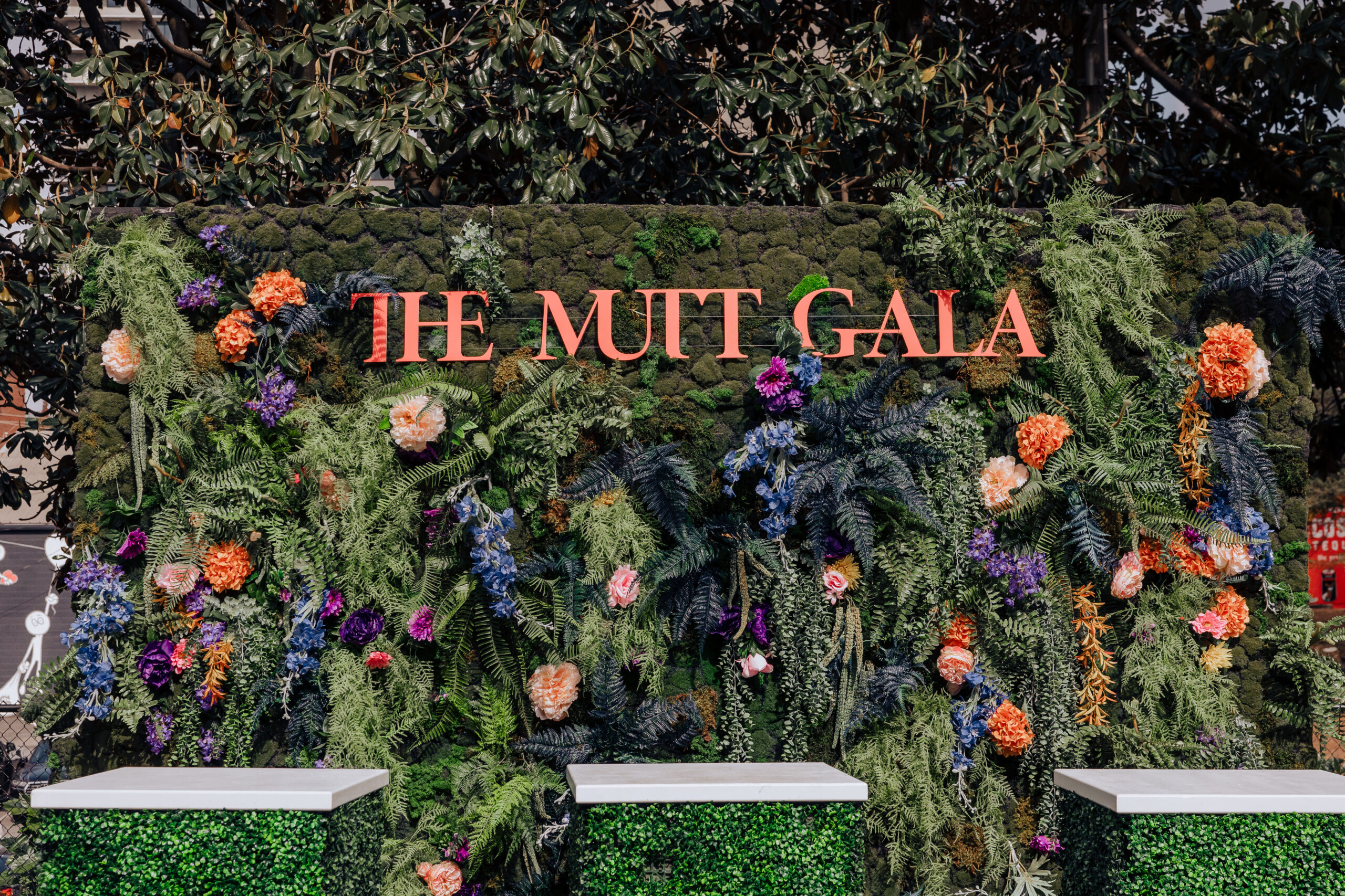 Midtown Mutt Gala 2024 Atlanta, GA