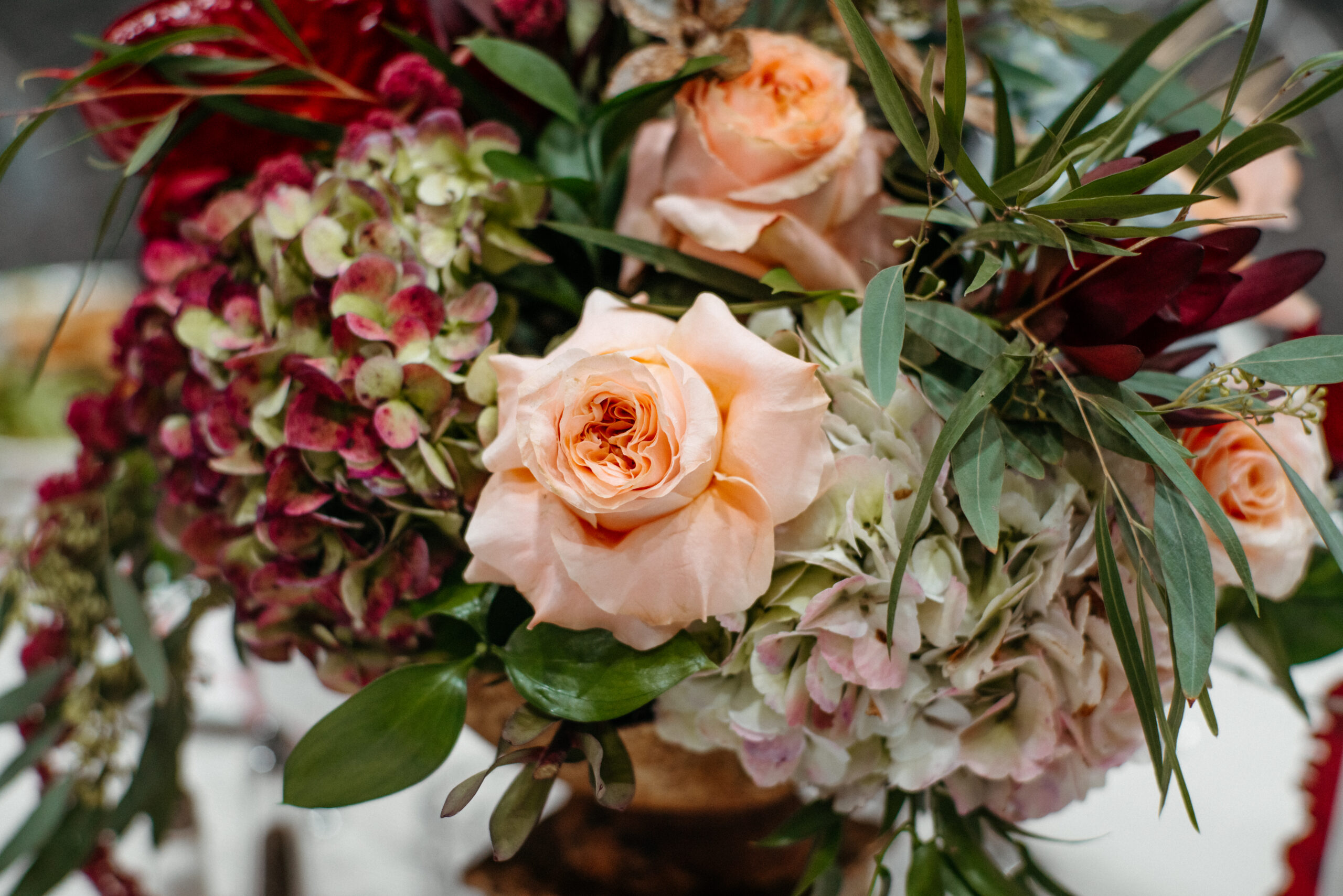 UGA’s 40 Under 40 Lunch Athens, GA