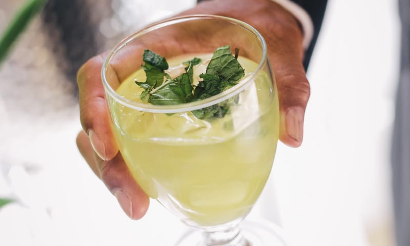 Private Home Ceremony Lake Spivey, GA Blanca Nguyen Wedding Same Sex Marriage WM Events Atlanta Wedding Planner Designer Decorator Events Lake Spivey Georgia Specialty Cocktail