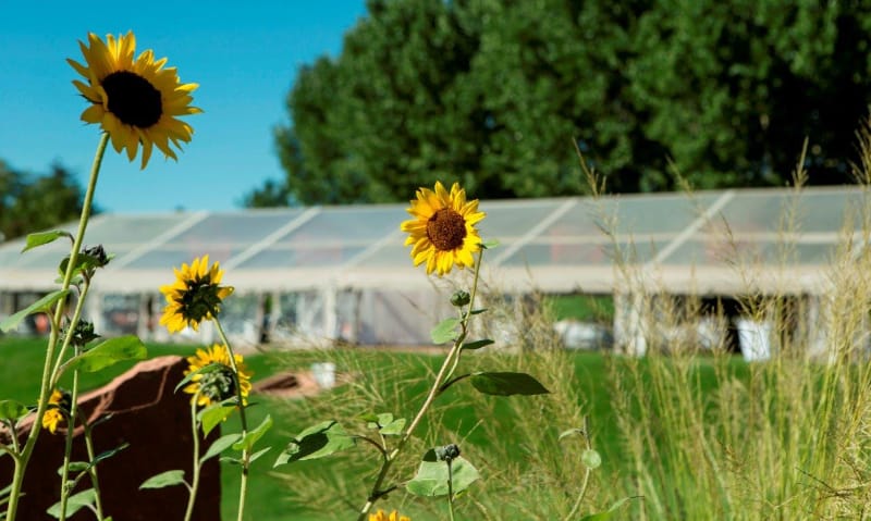 Ping Pong B'nai Mitzvah Denver, CO blume-bnai-mitzvah-denver-mitzvah-planner-coordinator-designer-colorado-wm-events-william-fogler-denver-botanical-gardens-kiddush-lunch-tent