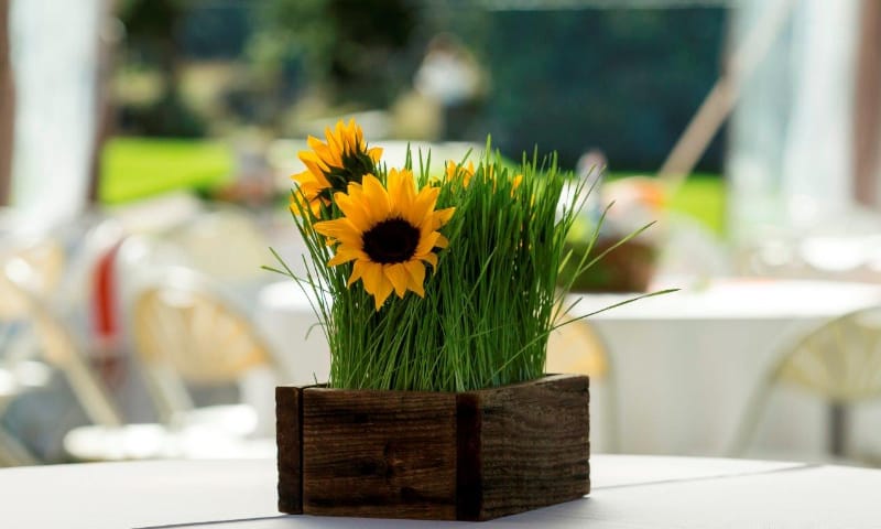 Ping Pong B'nai Mitzvah Denver, CO blume-bnai-mitzvah-denver-mitzvah-planner-coordinator-designer-colorado-wm-events-william-fogler-kiddush-centerpieces