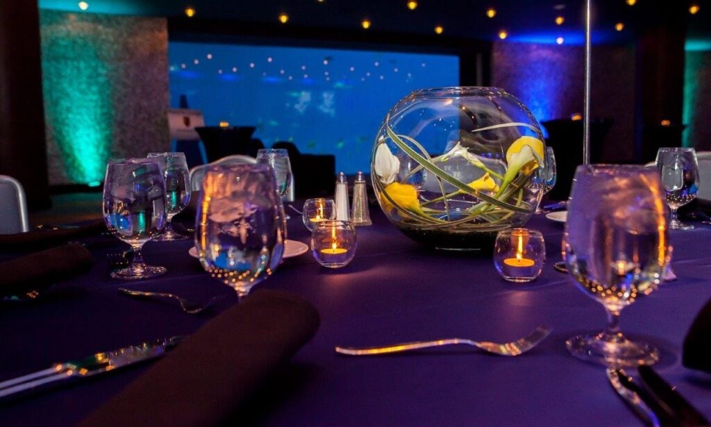 The Art of Nature Atlanta, GA WM Events, Caring For Others, Charity, Corporate Event, Design, Event Planning, Auction, Georgia Aquarium, Atlanta, Georgia, Denver, Colorado, Consulting, Event Production, Event Producer, Community, Centerpieces, Table Decor, Bubble Bowl