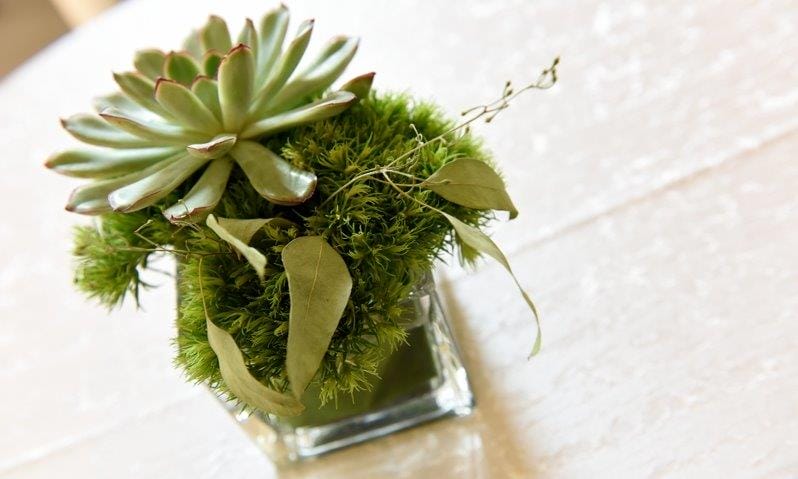 High End Open House Atlanta, GA WM Events PWP Studio OFS Brands Corporate Event Planning Consulting Design Jabari Grover Affairs To Remember Denver Colorado Atlanta Georgia