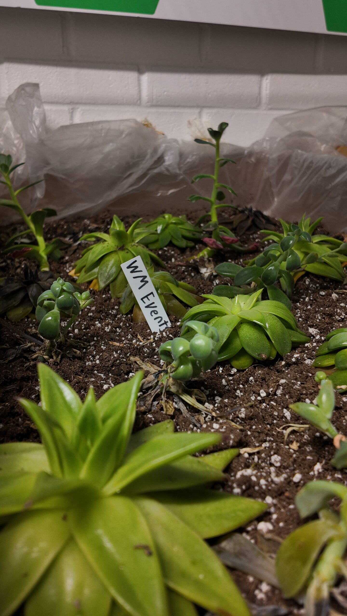 WM Events Sustainability