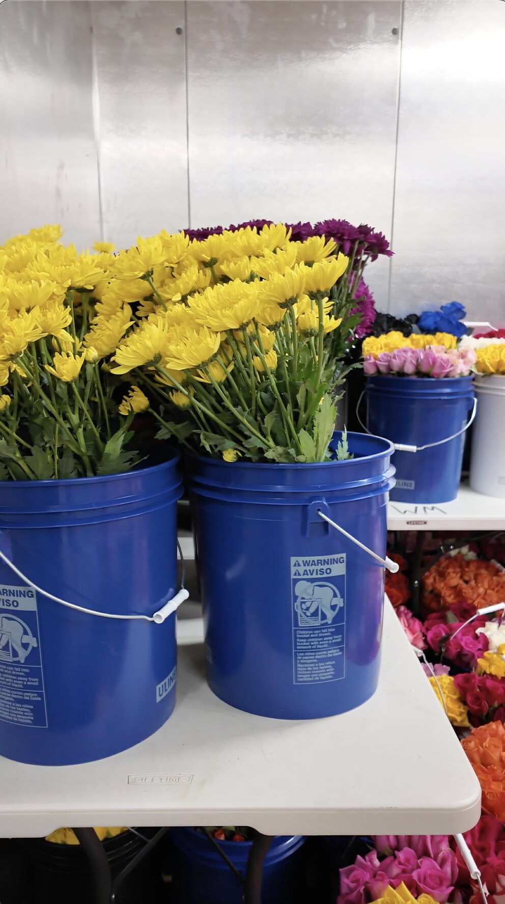 WM Events Sustainability