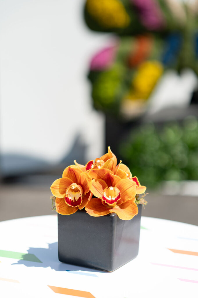 WM Events Grand Opening 280 Mt Zion Rd