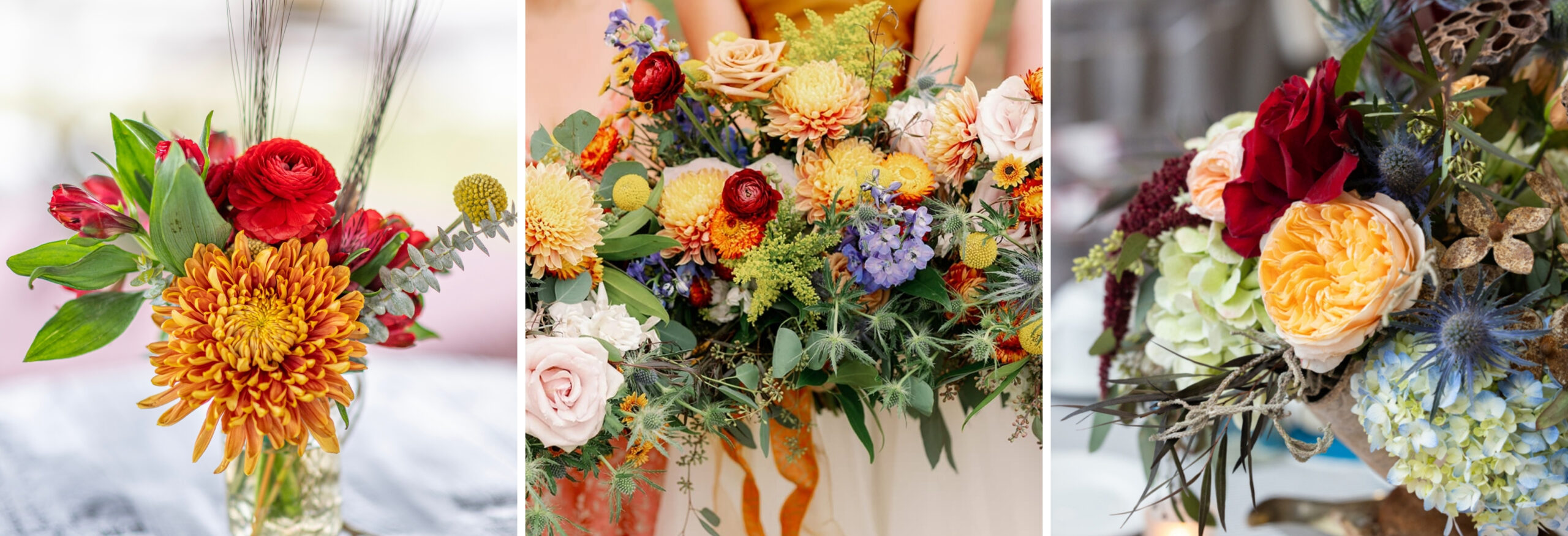 website community photos